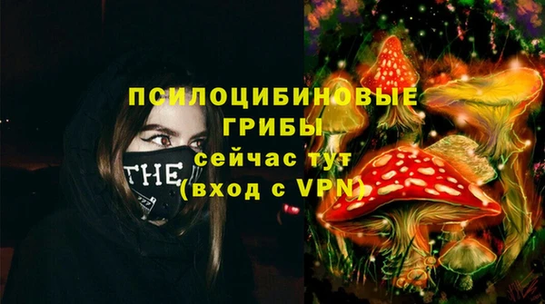 первитин Горнозаводск