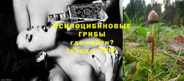первитин Горнозаводск