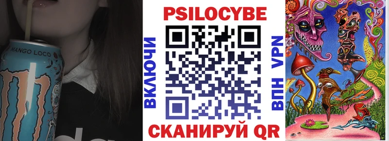Псилоцибиновые грибы Psilocybe  Купить  Шарья 